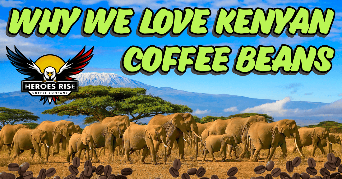 Discover the Bold Flavor of Kenyan Coffee - Heroes Rise Coffee Company