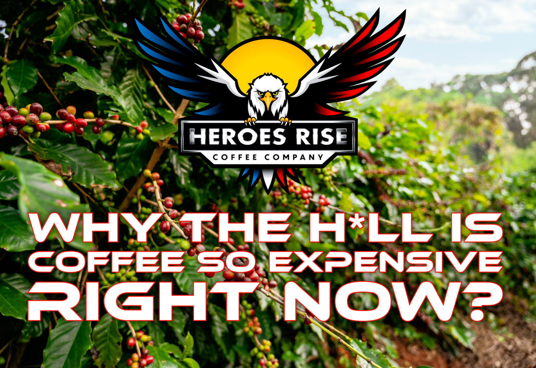 Why the H*ll Is Coffee So Expensive Right Now? - Heroes Rise Coffee Company